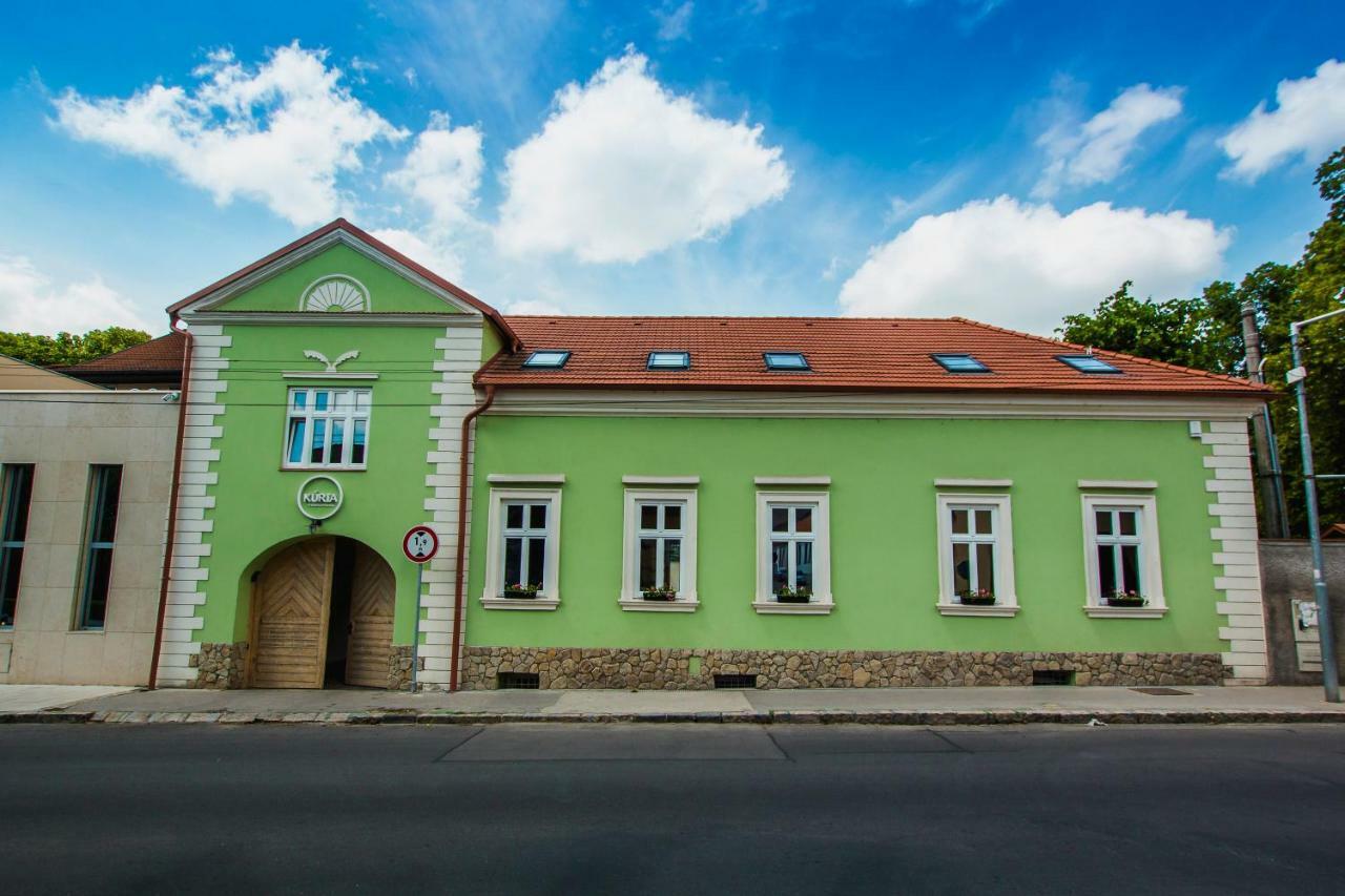 Penzion Kuria Nové Mesto nad Váhom Εξωτερικό φωτογραφία